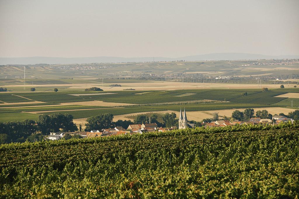 Meyerhof - Bioweingut, Vinothek & Gaestehaus Flonheim