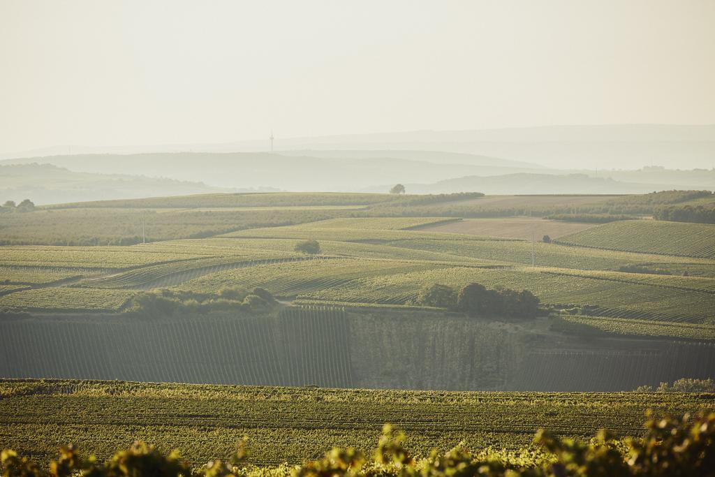 Meyerhof - Bioweingut, Vinothek & Gaestehaus Flonheim